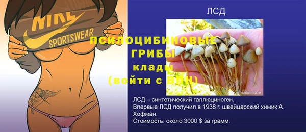 PSILOCYBIN Козловка