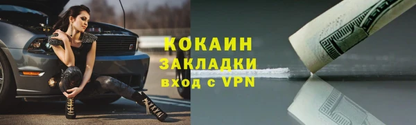 PSILOCYBIN Козловка