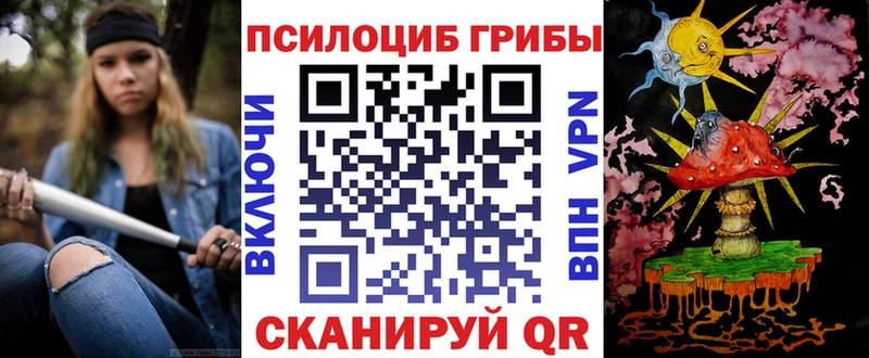 Галлюциногенные грибы Psilocybine cubensis  Козловка 